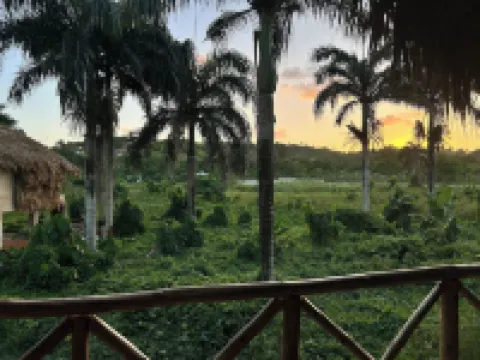 Dominican Jungle Resort Hotels in El Limon