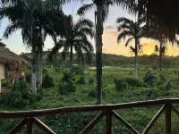 Dominican Jungle Resort