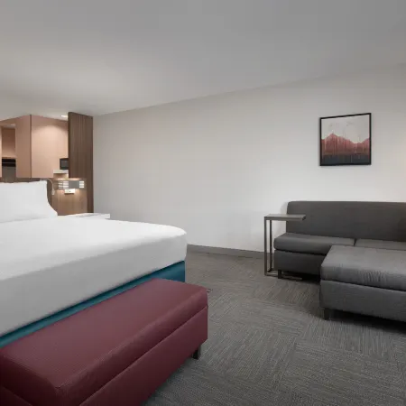 Hilton Garden Inn Denver Airport Tower Road