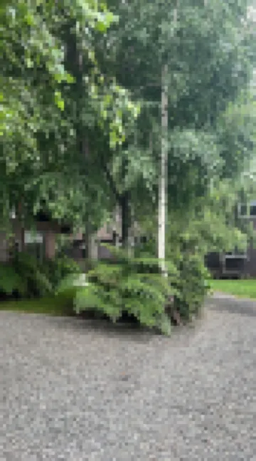 Cabañas Los Laureles - Lican Ray