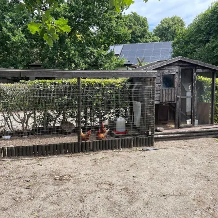 Family Farmhouse with Go-Karts