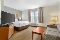 梅恩斯泰套房坦帕莫菲特-南佛羅里達大學