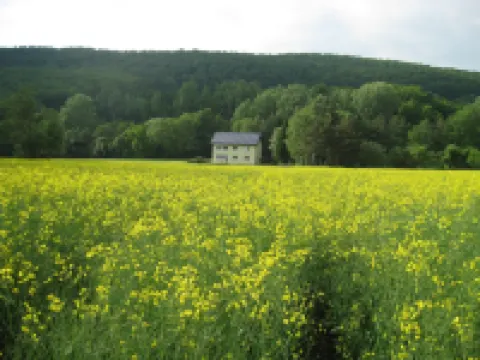 上層樓的度假公寓，霍姆貝格