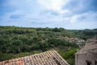 Il Tasso