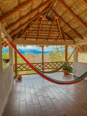 Cabañas Raíces del Cielo - Homestays