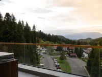 Swissôtel Poiana Brasov - Mountain view
