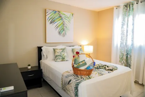 Palm Spring Inn - Homestays