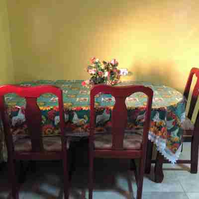 Logerthine Studio Suriname Others