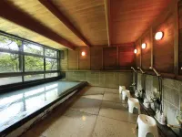 Zao Plaza Hotel - Varme kilder