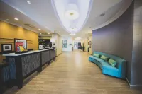 希爾頓歡朋酒店及套房博爾頓 - Wi-Fi