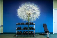 SpringHill Suites Kennewick Tri-Cities - Gym