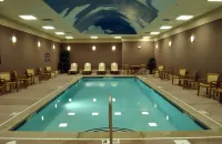 Homewood Suites by Hilton Indianapolis-Downtown - Swimmingpools