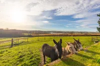 Far Heath House - Scenic Hot Tub Stay - 2-Star