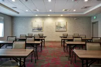 伯明翰富爾頓戴爾希爾頓惠庭套房飯店 - 寵物友善