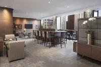 Hilton Toronto - bar