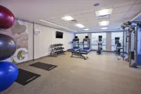 SpringHill Suites St. Joseph Benton Harbor - Gym