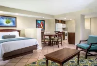 Club Wyndham Palm-Aire - bar