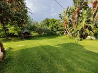 Giardino di Limoni Eco Friendly Villa - maisons de vacances
