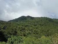 Tropikal Synergy Mountain View - Apartments