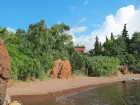 Ponderosa