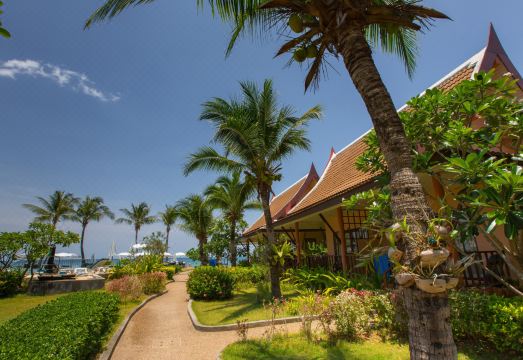 4. 란타 카수아리나..