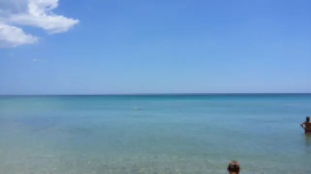 Apartment Eucaliptus sea view