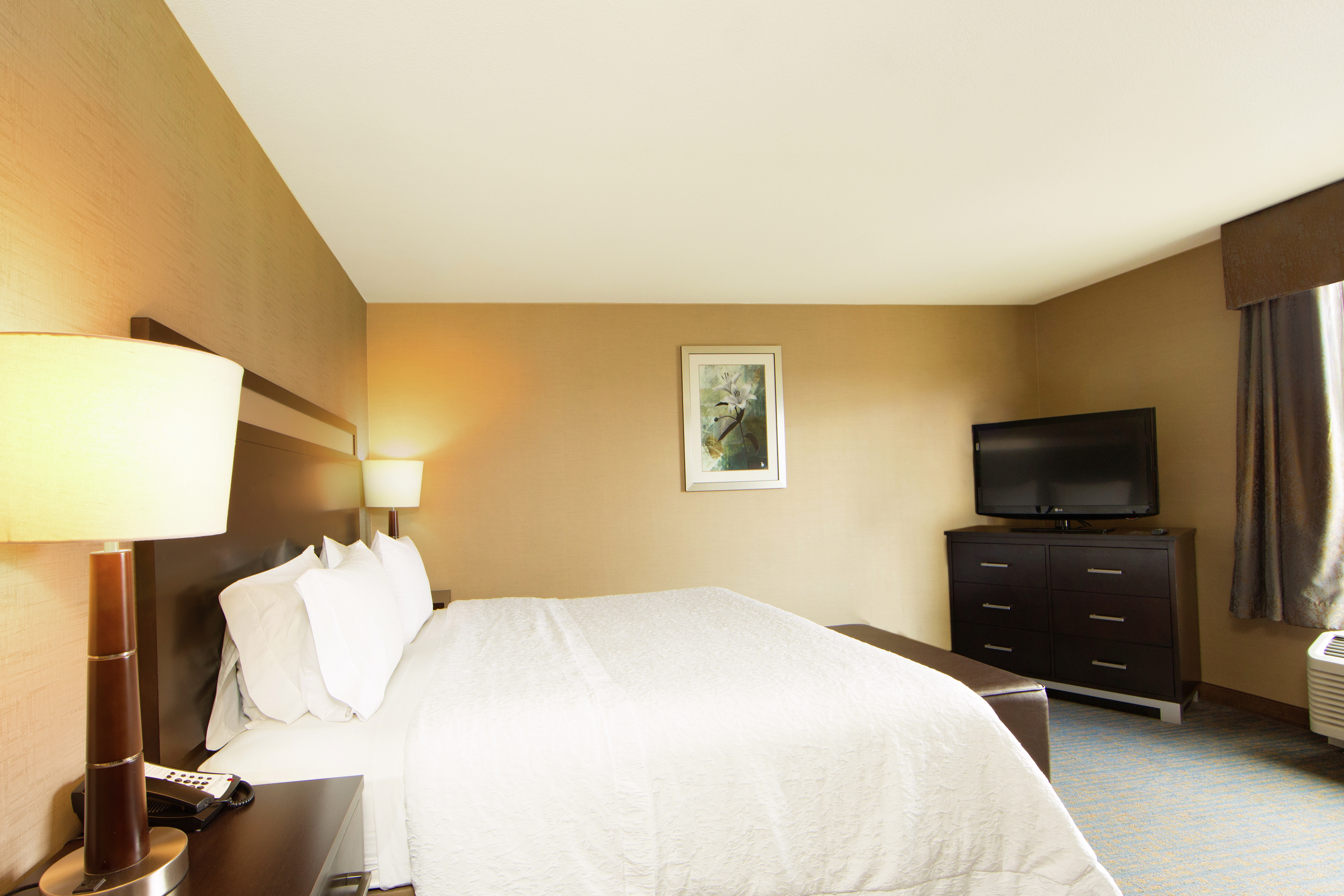 Hampton Inn & Suites Tacoma/Puyallup