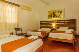 Hotel El Bosque