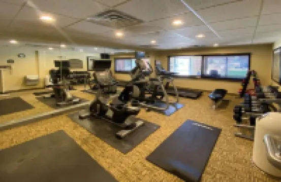 Holiday Inn Express Hotel & Suites Chestertown 切斯特敦酒店