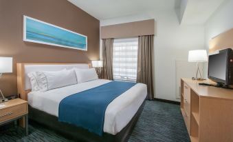 Holiday Inn Express & Suites San Antonio Rivercenter Area