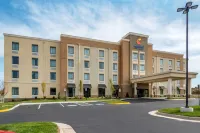 Comfort Inn & Suites - Pet friendly