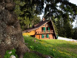 Chalet Alpinka