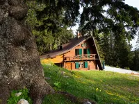 Chalet Alpinka