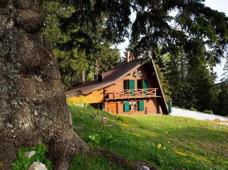 Chalet Alpinka Отели в г. Амброж-под-Крвавцем