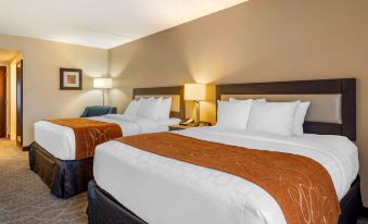 Comfort Suites Alpharetta/Roswell - Atlanta Area