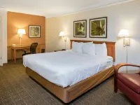 La Quinta Inn by Wyndham San Antonio Market Square Hotels near Downtown - Riverwalk