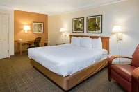 La Quinta Inn by Wyndham San Antonio Market Square - parking