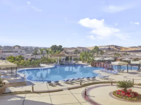 シュタインゲンベルガーピラミッズカイロ