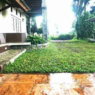 Pondok Buah Sinuan Hotel Exterior