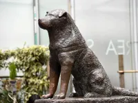 ホテルロダン 東急百貨店周辺のホテル