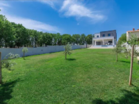 Tara