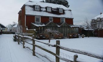 Willow Tree House