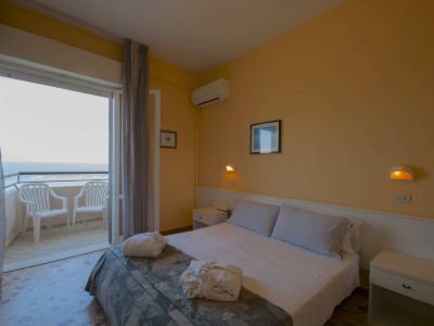 Hotel David