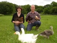 Leworthy Farmhouse Bed and Breakfast - Homestays