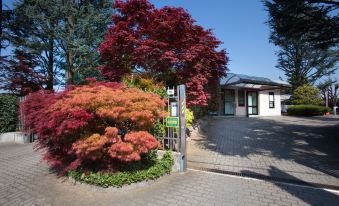 Airport Hotel Malpensa