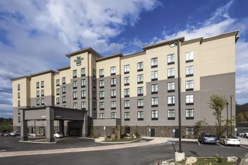 Homewood Suites by Hilton Lynnwood Seattle Everett - Pet friendly