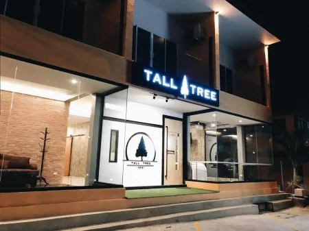 布吉高樹波什特酒店