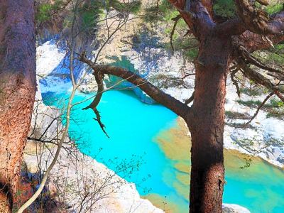 ホテル周辺 鬼怒川温泉 花の宿 松やの写真