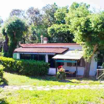 Residence Oasis Hotel Exterior