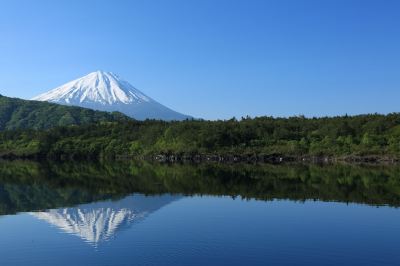 ホテル周辺 ホテルマイステイズ富士山 展望温泉の写真